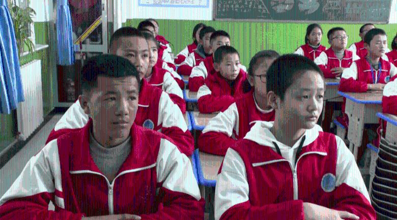卡通考拉救援