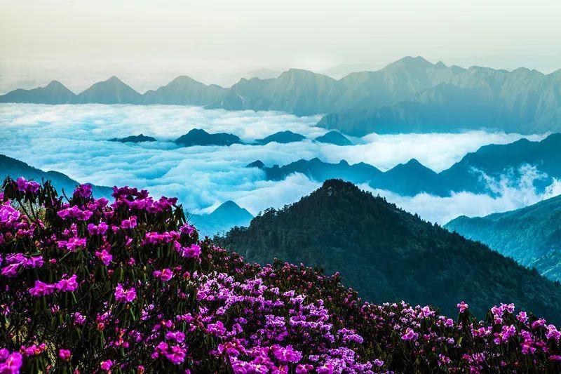 苹果确认ios17.3和ipados17.3将于下周发布